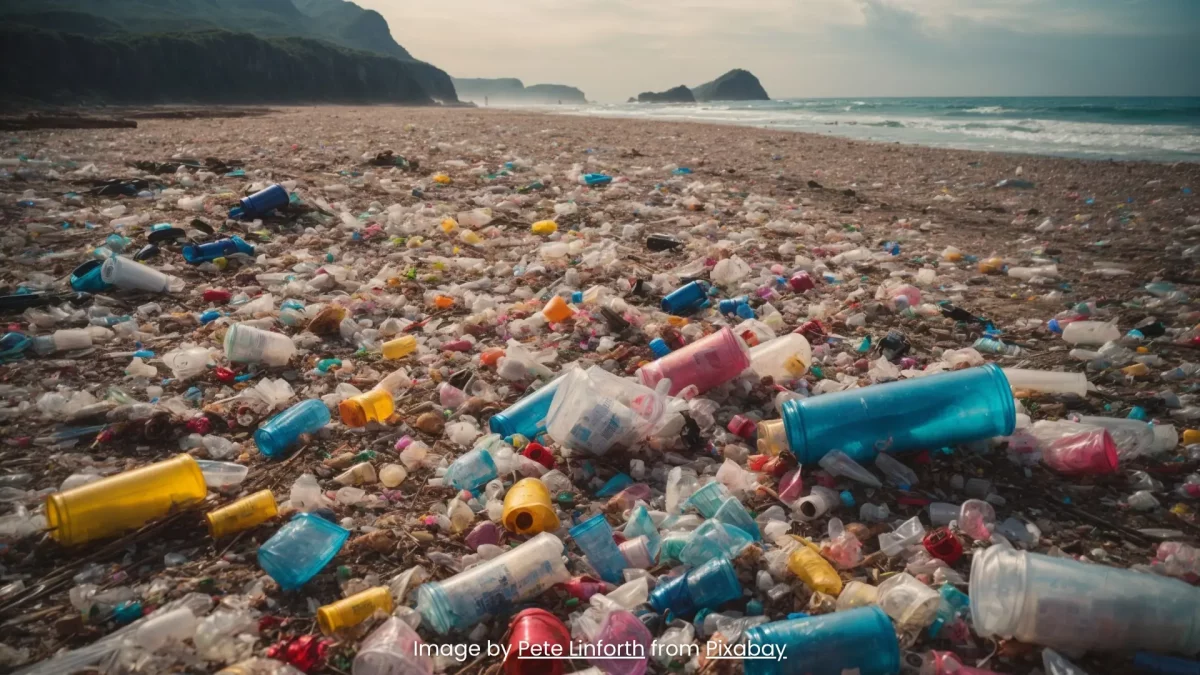 Image by Pete Linforth from Pixabay