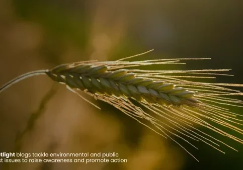 [8] (C-Help) Organic Agriculture