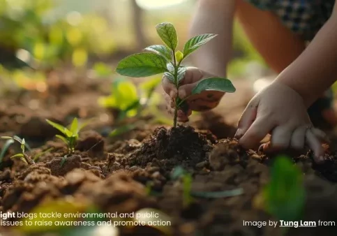 C-SPOTLIGHT for December 2025 Photo