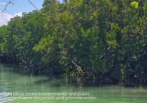 C-SPOTLIGHT for May 2025 Photo